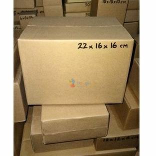 Kardus 22x16x16 cm