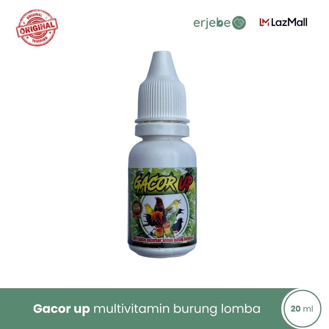 Vitamin burung gacor up penggacor burung suplemen penggacor suara Penggacor burung ocehan Penggacor 