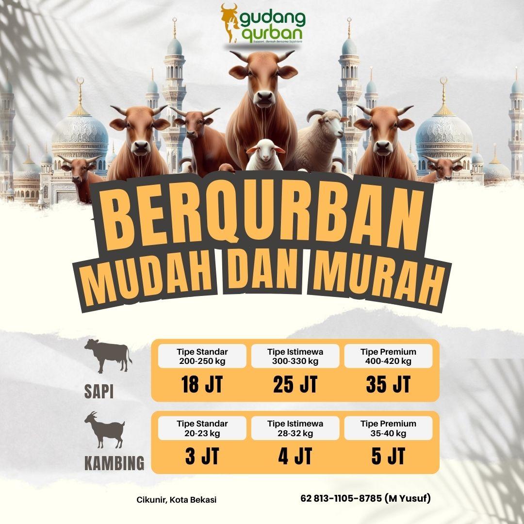 sapi qurban di cikunir