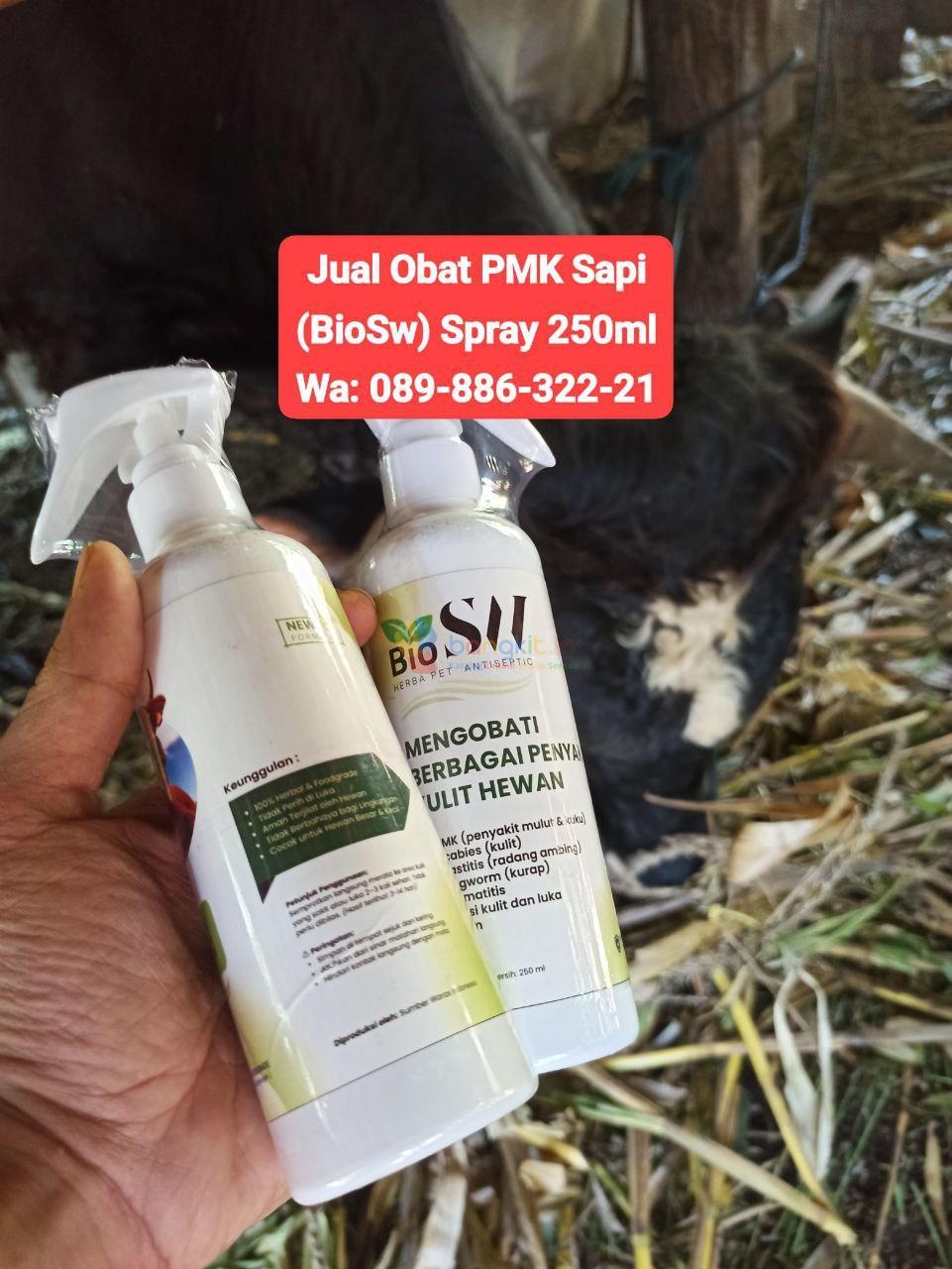 089-886-322-21 Obat Kuku Sapi Paling Ampuh Blora BioSW