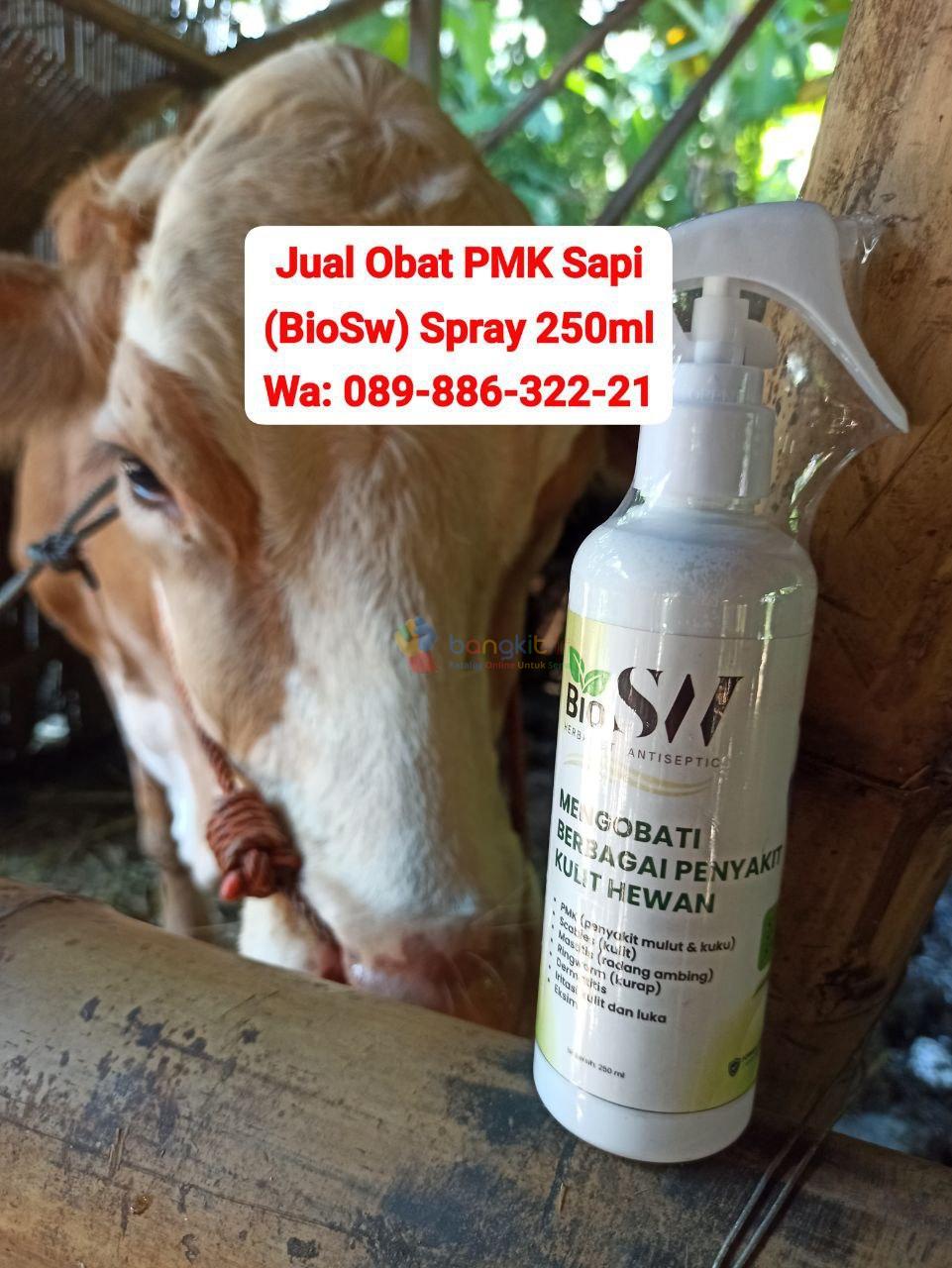 Obat PMK Sapi BioSW